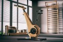 Rower treningowy  Oak Dąb