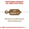 Royal Canin Ageing +12 karma mokra w sosie dla kotów dojrzałych saszetka 85g