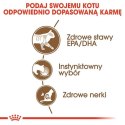 Royal Canin Ageing +12 karma mokra w sosie dla kotów dojrzałych saszetka 85g