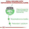 Royal Canin Digestive Care karma sucha dla kotów dorosłych, wspomagająca przebieg trawienia 2kg