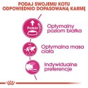 Royal Canin Exigent Protein Preference karma sucha dla kotów dorosłych, wybrednych, kierujących się białkiem 2kg