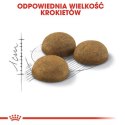 Royal Canin Indoor Long Hair karma sucha dla kotów dorosłych, długowłose, przebywających wyłącznie w domu 400g