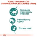 Royal Canin Instinctive +7 w sosie karma mokra dla kotów starszych, wybrednych saszetka 85g