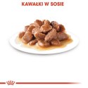 Royal Canin Instinctive w sosie karma mokra dla kotów dorosłych, wybrednych saszetka 85g