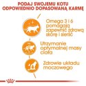 Royal Canin Hair & Skin Care w sosie karma mokra dla kotów dorosłych, zdrowa skóra, piękna sierść saszetka 85g