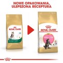 Royal Canin Maine Coon Kitten karma sucha dla kociąt, do 15 miesiąca, rasy maine coon 4kg