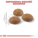 Royal Canin Outdoor karma sucha dla kotów dorosłych, wychodzących na zewnątrz 4kg