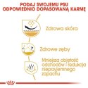 Royal Canin Shih Tzu Adult karma sucha dla psów dorosłych rasy shih tzu 0,5kg