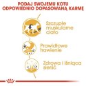 Royal Canin Siamese Adult karma sucha dla kotów dorosłych rasy syjamskiej 400g