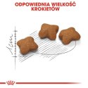 Royal Canin Kitten Sterilised karma sucha dla kociąt od 4 do 12 miesiąca życia, sterylizowanych 2kg