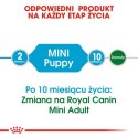 Royal Canin Mini Puppy karma sucha dla szczeniąt, od 2 do 10 miesiąca życia, ras małych 2kg