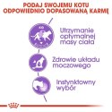 Royal Canin Sterilised w sosie karma mokra dla kotów dorosłych, sterylizowanych saszetka 85g