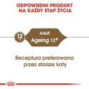 Royal Canin Ageing +12 karma mokra w galaretce dla kotów dojrzałych saszetka 85g