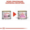 Royal Canin Mother & Babycat Mousse karma mokra - mus dla kociąt i kotek karmiących puszka 195g