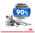 Royal Canin Light Weight Care w galaretce karma mokra dla kotów dorosłych, z tendencją do nadwagi saszetka 85g