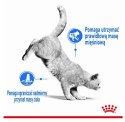 Royal Canin Light Weight Care w galaretce karma mokra dla kotów dorosłych, z tendencją do nadwagi saszetka 85g