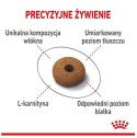 Royal Canin Appetite Control Care karma sucha dla kotów dorosłych, domagających się jedzenia 400g