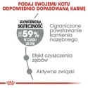 Royal Canin Dental Care karma sucha dla kotów dorosłych, redukująca odkładanie kamienia nazębnego 1,5kg