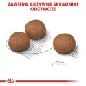 Royal Canin Medium Digestive Care karma sucha dla psów dorosłych, ras średnich o wrażliwym przewodzie pokarmowym 3kg