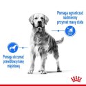 Royal Canin Medium Light Weight Care karma sucha dla psów dorosłych, ras średnich tendencją do nadwagi 3kg