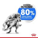 Royal Canin Medium Light Weight Care karma sucha dla psów dorosłych, ras średnich tendencją do nadwagi 3kg