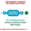 Royal Canin Mini Starter Mother&Babydog karma sucha dla szczeniąt do 2 miesiąca i suk karmiących ras małych 1kg