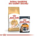 Royal Canin Sphynx Adult karma sucha dla kotów dorosłych rasy sfinks 400g