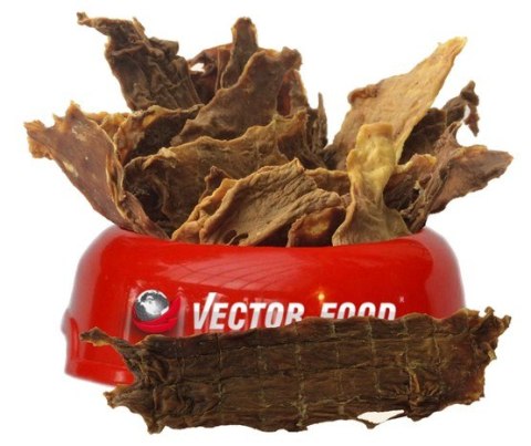 Vector-Food Beef jerky 100g