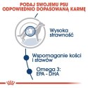 Royal Canin Maxi Adult karma mokra w sosie dla psów dorosłych, do 5 roku życia, ras dużych saszetka 140g