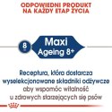 Royal Canin Maxi Ageing 8+ karma mokra w sosie dla psów dojrzałych, po 8 roku życia, ras dużych saszetka 140g