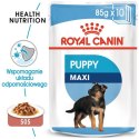 Royal Canin Maxi Puppy karma mokra w sosie dla szczeniąt, od 2 do 15 miesiąca życia, ras dużych saszetka 140g