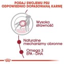 Royal Canin Medium Adult karma mokra w sosie dla psów dorosłych, ras średnich saszetika 140g