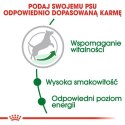 Royal Canin Mini Adult karma mokra w sosie dla psów dorosłych, ras małych saszetka 85g