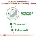 Royal Canin Mini Ageing 12+ karma mokra w sosie dla psów dojrzałych po 12 roku życia, ras małych saszetka 85g