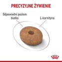 Royal Canin Mini Light Weight Care karma sucha dla psów dorosłych, ras małych z tendencją do nadwagi 1kg