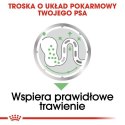 Royal Canin Digestive Care karma mokra dla psów dorosłych, wszystkich ras o wrażliwym przewodzie pokarmowym saszetka 85g