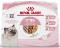 Royal Canin Feline Kitten Multipack karma mokra dla kociąt do 12 miesiąca życia saszetki 4x85g