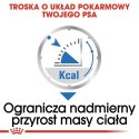 Royal Canin Light Weight Care karma mokra dla psów dorosłych, wszystkich ras z tendencją do nadwagi saszetka 85g