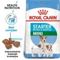 Royal Canin Mini Starter Mother&Babydog karma sucha dla szczeniąt do 2 miesiąca i suk karmiących ras małych 8kg