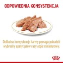 Royal Canin Pomeranian Adult karma mokra dla psów dorosłych rasy szpic miniaturowy, pasztet saszetka 85g