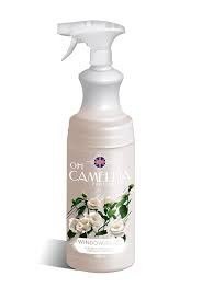 CAMELLIA Spray 0,75L Preparat do szyb, okien i luster PROFESSIONAL WINDOWS&GLASS