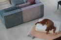 Materac ortopedyczny dla psa - Soft Sierra (Sepia Sierra, S - 80x60x10 cm)