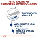 Royal Canin Maxi Adult 5+ karma sucha dla psów starszych, od 5 do 8 roku życia, ras dużych 15kg