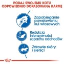 Royal Canin Indoor Long Hair karma sucha dla kotów dorosłych, długowłose, przebywających wyłącznie w domu 2kg