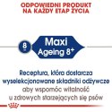 Royal Canin Maxi Ageing 8+ karma sucha dla psów dojrzałych, po 8 roku życia, ras dużych 15kg