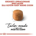 Royal Canin Maine Coon Adult karma sucha dla kotów dorosłych rasy maine coon 4kg