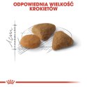 Royal Canin Savour Exigent karma sucha dla kotów dorosłych, wybrednych, kierujących się teksturą krokieta 2kg