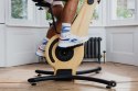 Rower treningowy NOHRD Bike V2 Shadow Jesion z monitorem