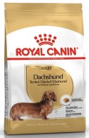 Royal Canin Dachshund Adult karma sucha dla psów dorosłych rasy jamnik 7,5kg