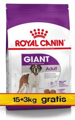 Royal Canin Giant Adult karma sucha dla psów dorosłych, od 18/24 miesiąca życia, ras olbrzymich PROMOCJA 18kg (15+3kg)